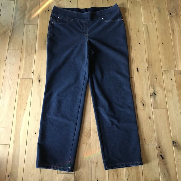 Nygard SLIMS Indigo Denim Stretchy Pull On Jeggings 1X - Picture 1 of 16